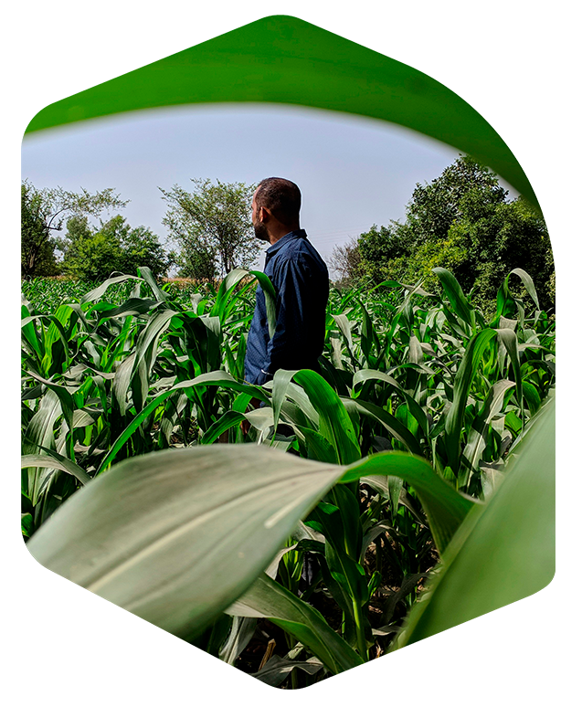 gestão documental agronegócio